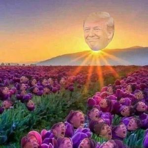 Meet your Posher, Derek